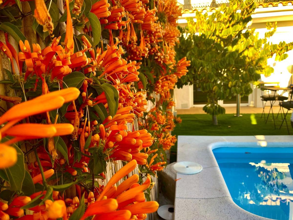 Appartement Breeze - Private Heated Pool
